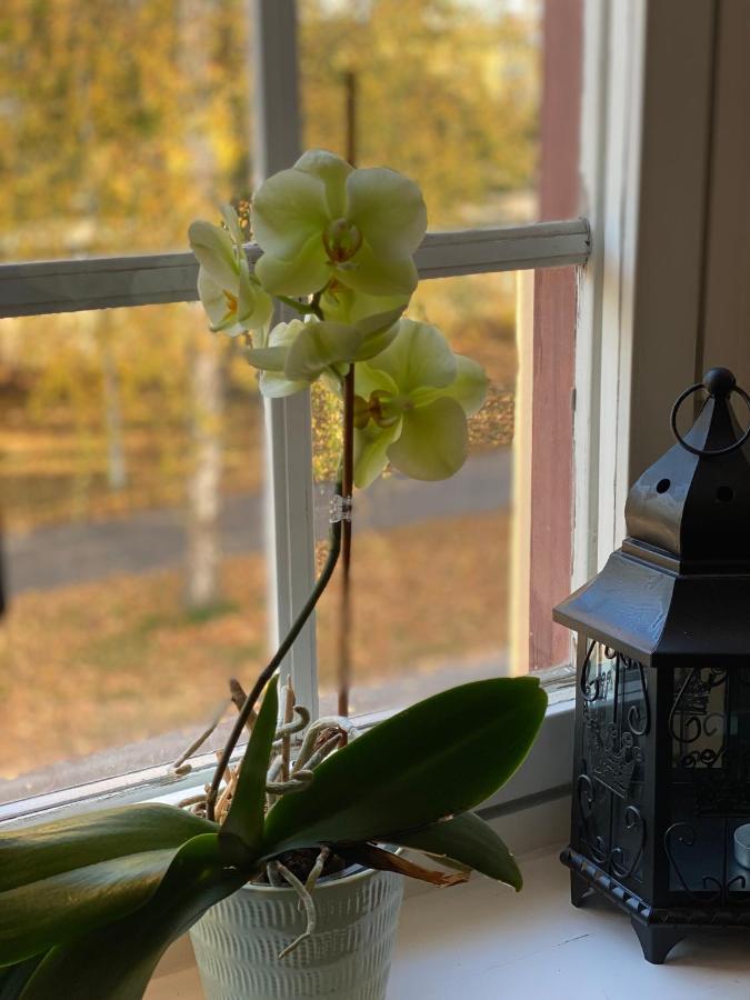 Ting1903 Bed & Breakfast Avesta Exteriér fotografie